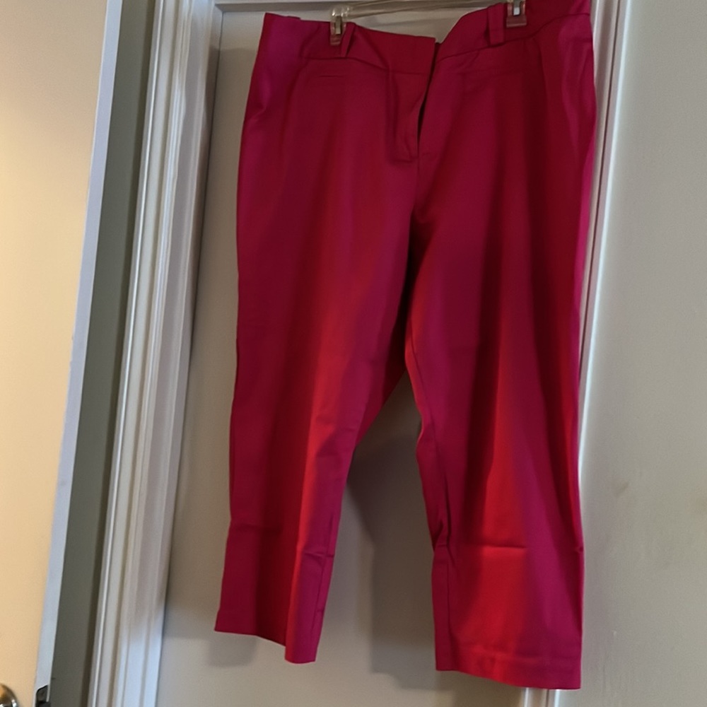 #146Worthington Woman Pink/fuccia pants size 22W